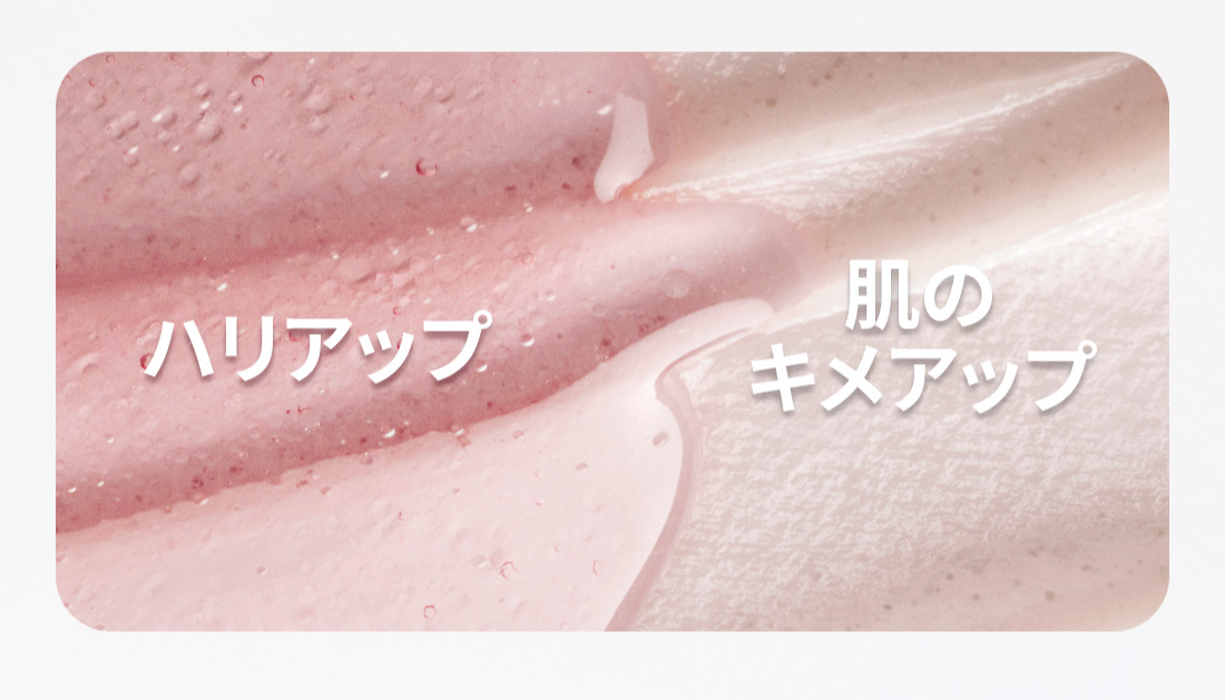 LANEIGE,Japan,<p></p>