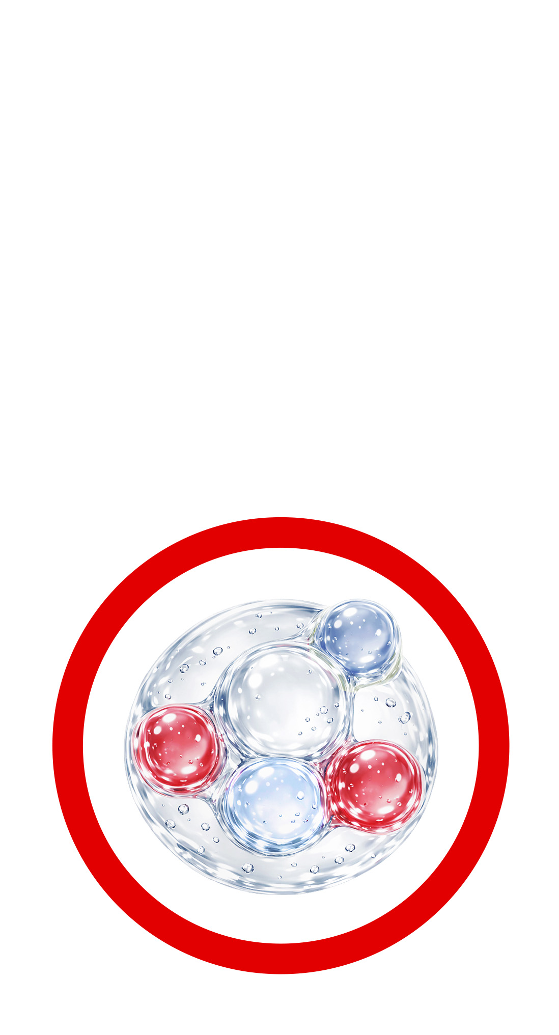 LANEIGE,International,<p></p>