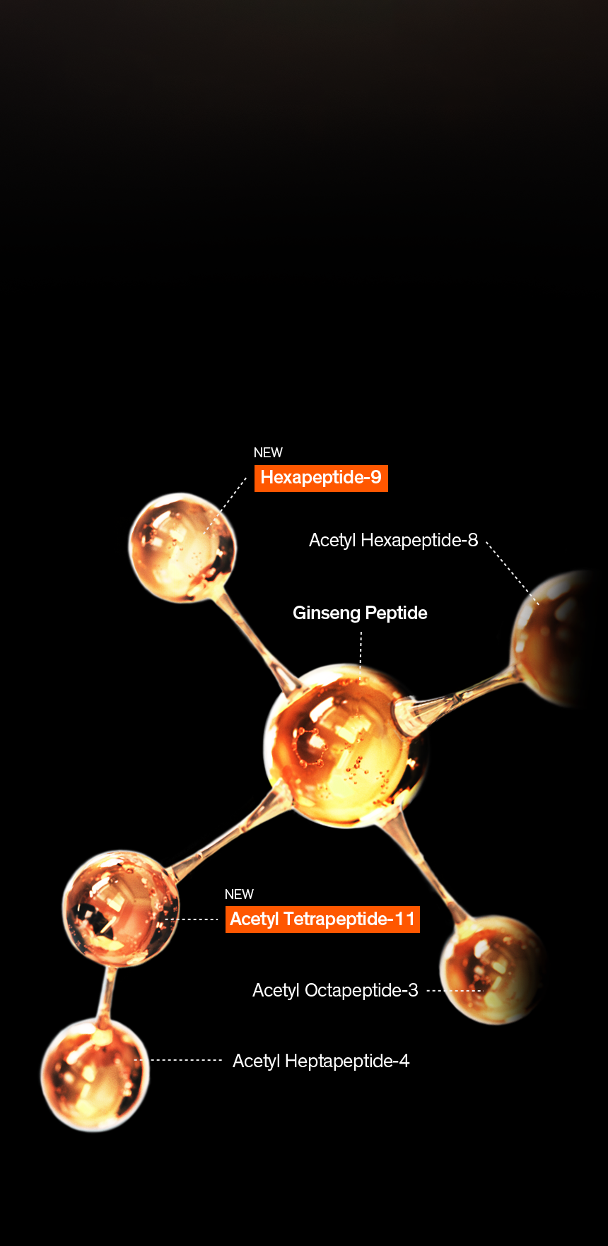 Sulwhasoo,International,<p><strong><sup>2</sup></strong></p><p><sub><sup>POWERFUL SYNERGIES WITH GINSENOMICS™</sup></sub></p><p><span style="color: rgb(255, 87, 0)"><strong>GINSENG PEPTIDE™</strong></span></p>