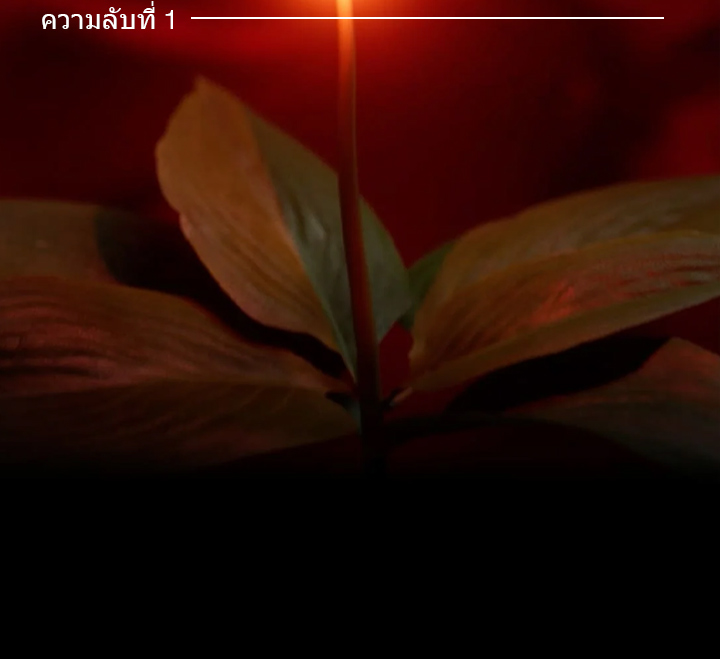 Sulwhasoo,Thailand,<p></p>