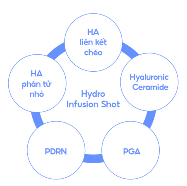 LANEIGE,Viet Nam,<p></p>