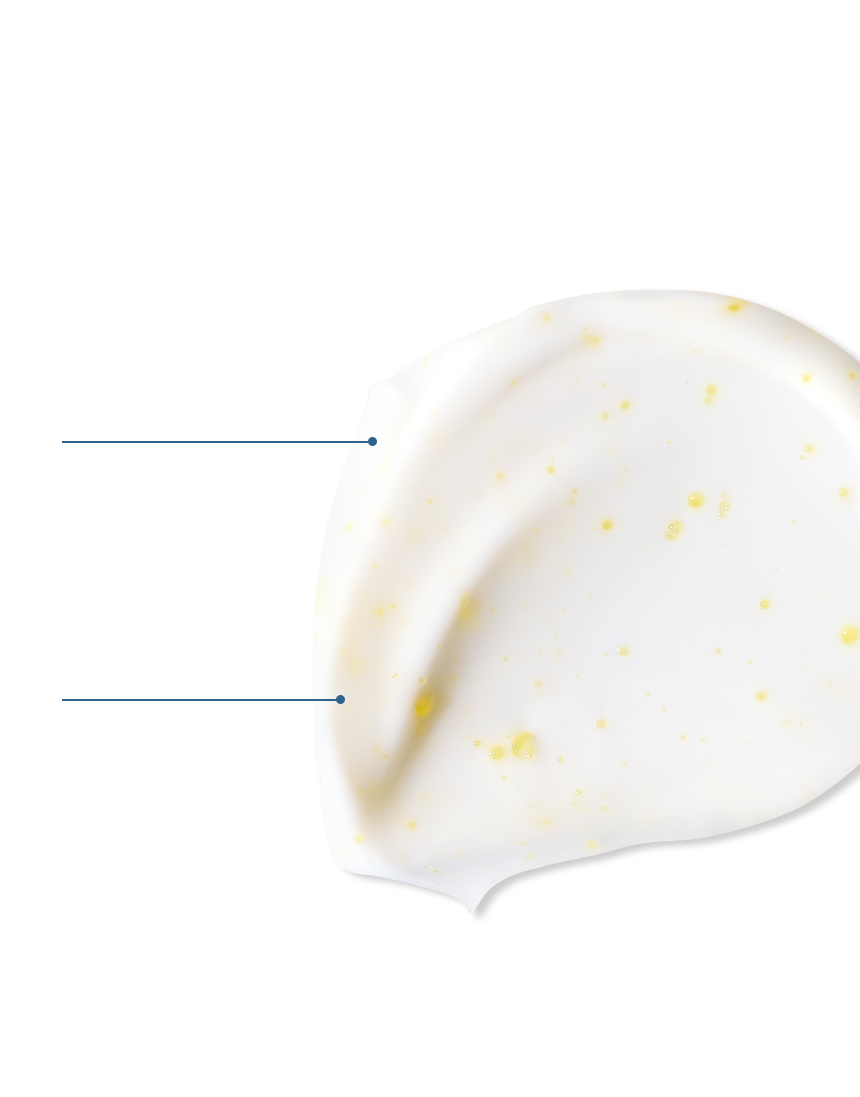 Sulwhasoo,International,<p></p>