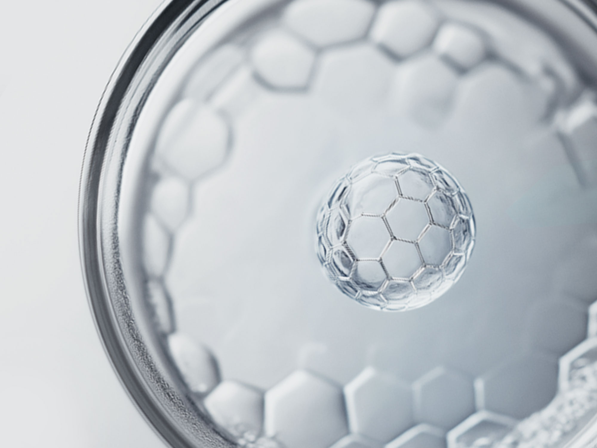 AP BEAUTY,International,Title text, Lorem Ipsum is simply dummy text