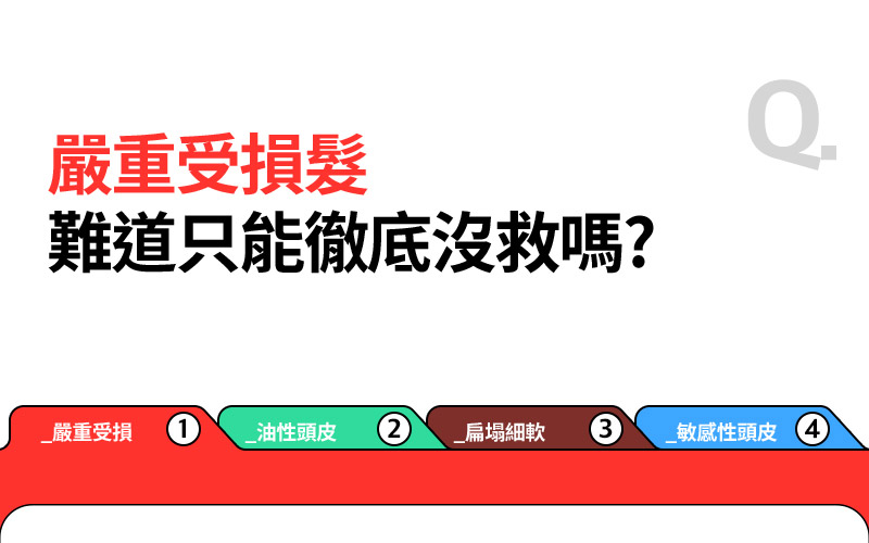RYO,Taiwan,<p></p>,嚴重受損髮, 難道只能徹底沒救嗎?    _嚴重受損 1, _油性頭皮 2, _扁塌細軟 3, _敏感性頭皮 4