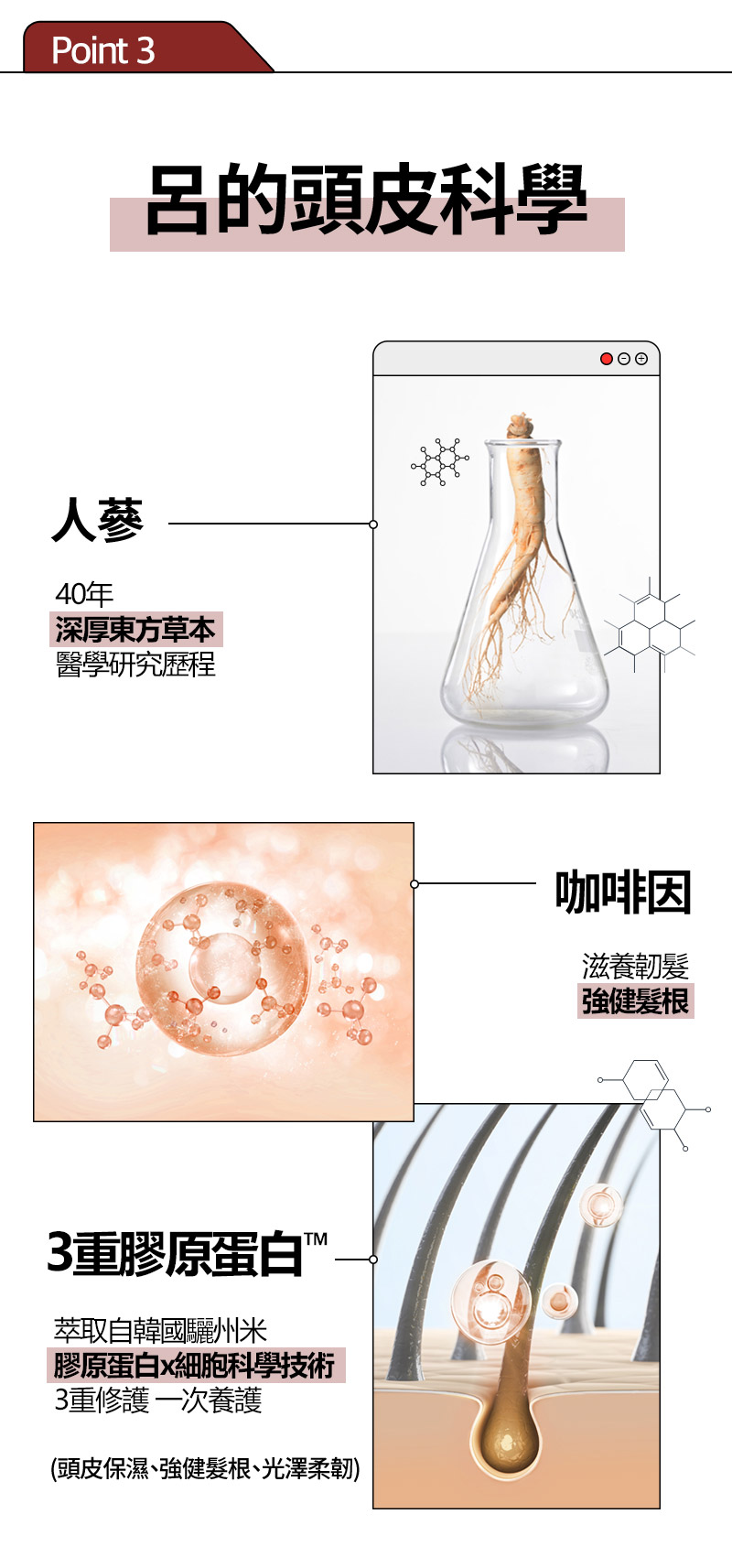 RYO,Taiwan,<p></p>,Point 3, 呂的頭皮科學,   人蔘,  40年, 深厚東方草本, 醫學研究歷程,   咖啡因,  滋養韌髮, 強健髮根,   3重膠原蛋白TM,  萃取自韓國驪州米, 膠原蛋白x細胞科學技術, 3重修護 一次養護,  (頭皮保濕、強健髮根、光澤柔韌)