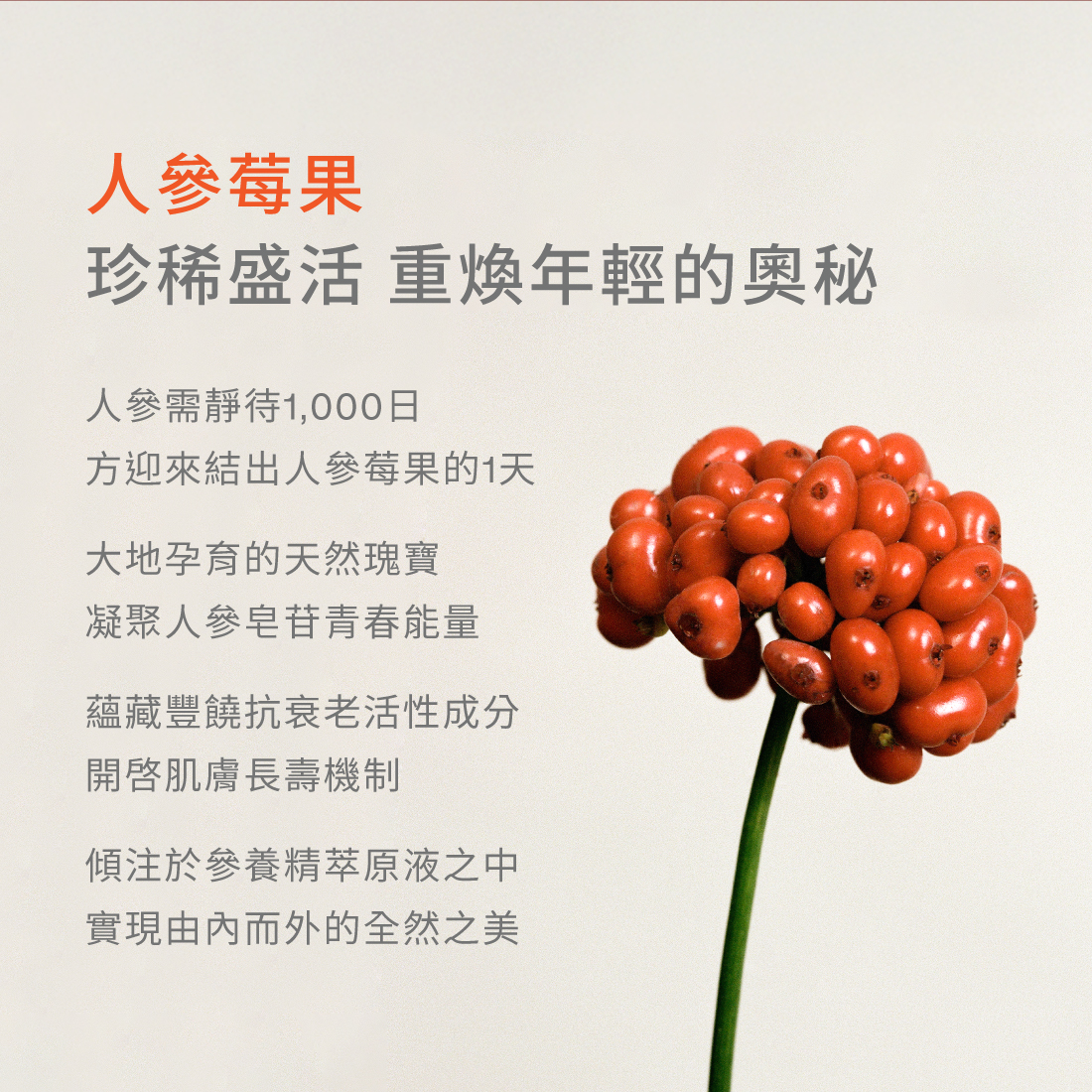 參養精萃原液 20g x 30
