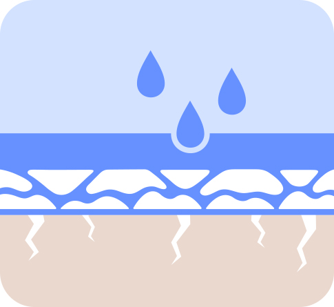 LANEIGE,International