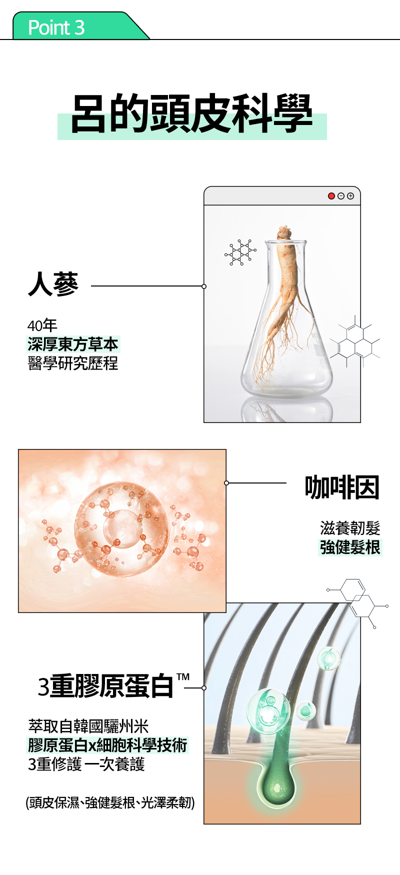RYO,Taiwan,<p></p>,Point 3, 呂的頭皮科學,   人蔘,  40年, 深厚東方草本, 醫學研究歷程,   咖啡因,  滋養韌髮, 強健髮根,   3重膠原蛋白™,  萃取自韓國驪州米, 膠原蛋白x細胞科學技術, 3重修護 一次養護,  (頭皮保濕、強健髮根、光澤柔韌)