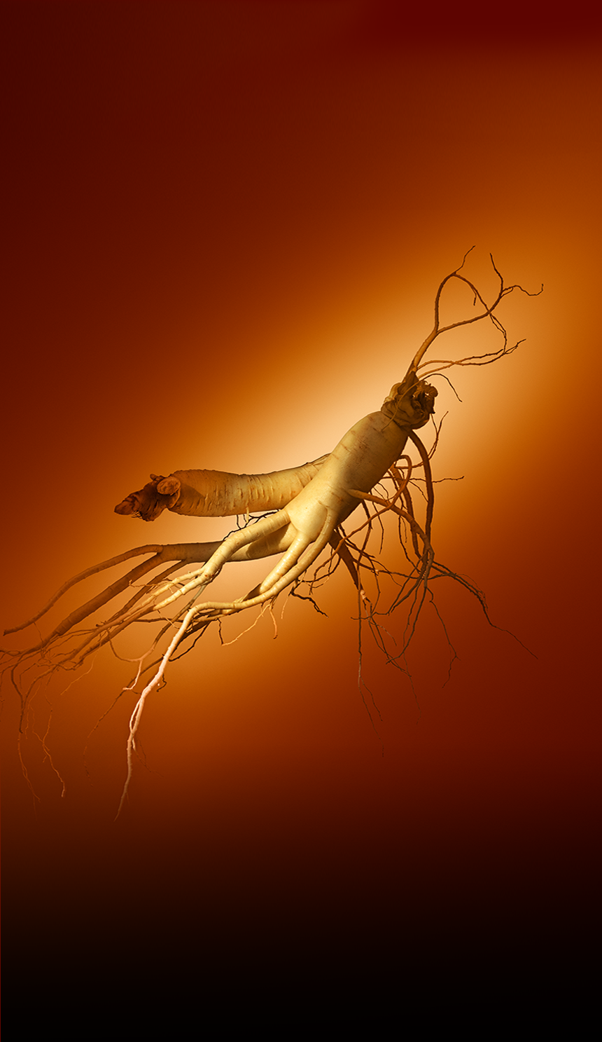 Sulwhasoo,International,<p><sub>SULWHASOO’s GINSENG FOR SKIN</sub><span style="color: rgb(0, 0, 0)">​</span></p>