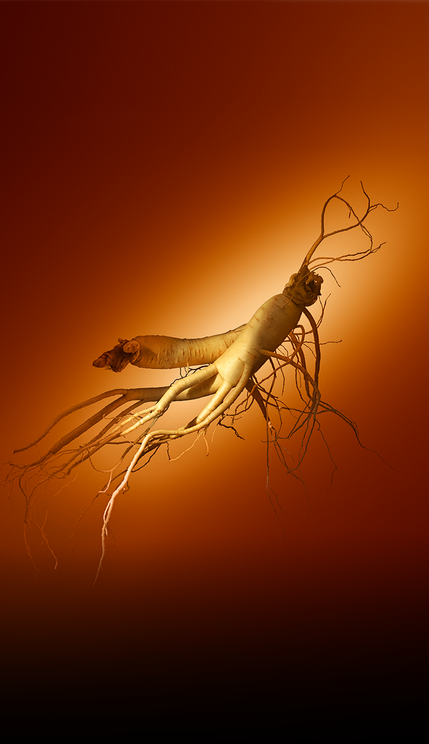 Sulwhasoo,International,<p><span style="color: rgb(255, 255, 255)"><sup>SULWHASOO’s GINSENG FOR SKIN</sup></span></p>