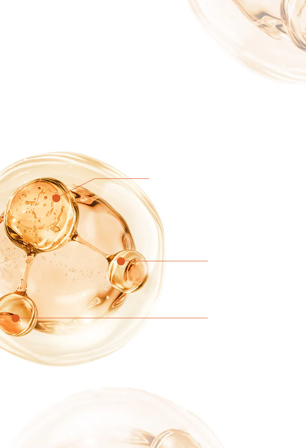Sulwhasoo,International,2.8X* UNIQUEREVITALIZING CARESULWHA REVITALIZING COMPLEX™