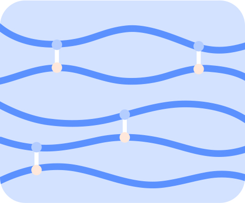 LANEIGE,International