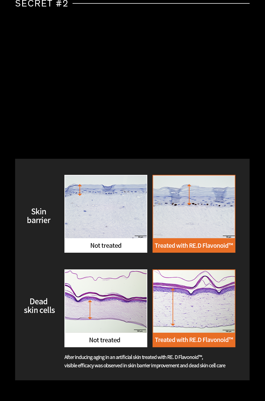 Sulwhasoo,International,<p></p>