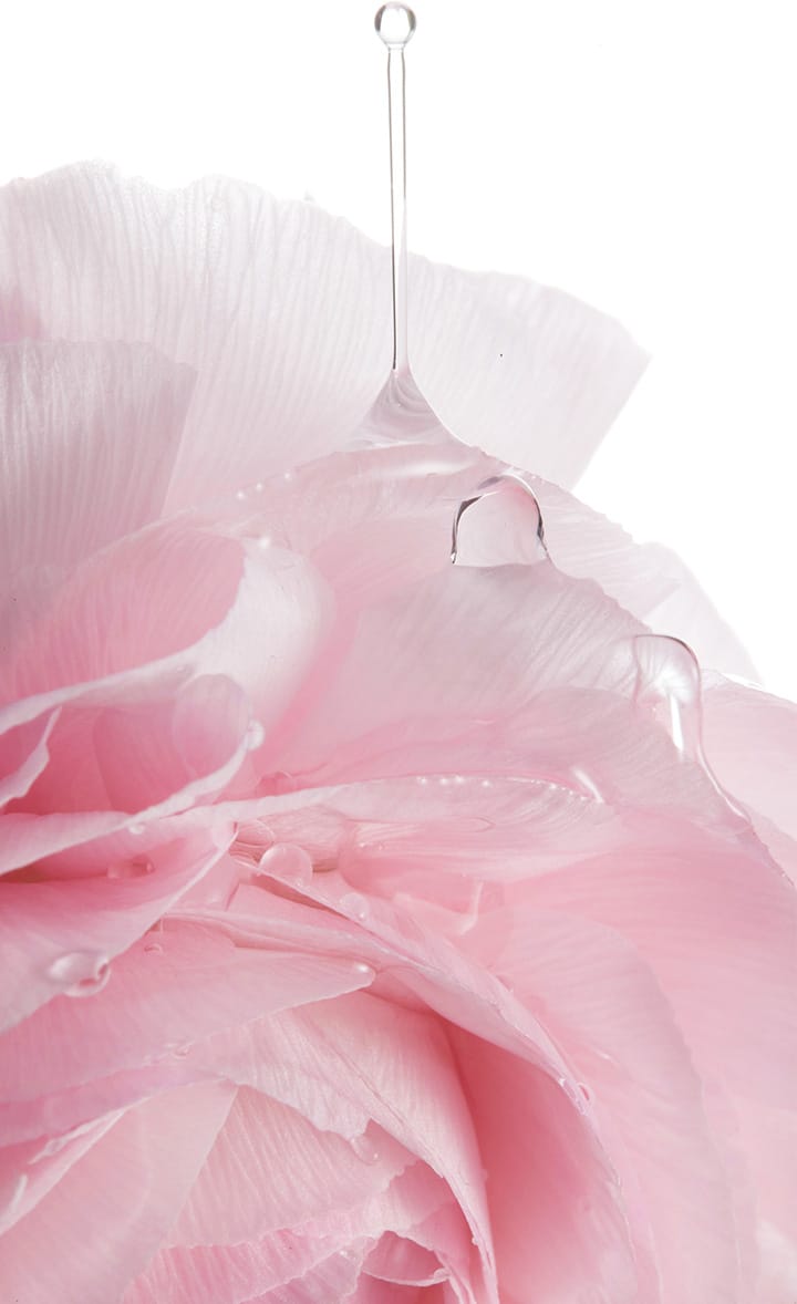 LANEIGE,International,<p><span style="color: rgb(238, 49, 78)">Peony &amp;</span></p><p><span style="color: rgb(238, 49, 78)">Collagen Complex™</span></p>