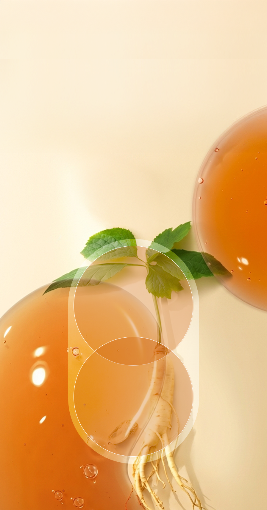 Sulwhasoo,International,<p><span style="color: rgb(0, 0, 0)"><sub><sup>SULWHASOO’S PROPRIETARY</sup></sub></span></p><p><span style="color: rgb(0, 0, 0)"><sub><sup>ANTI-AGING SAPONIN,​</sup></sub></span></p><p><span style="color: rgb(0, 0, 0)"><strong>LYMPHANAX™</strong></span></p><p></p>