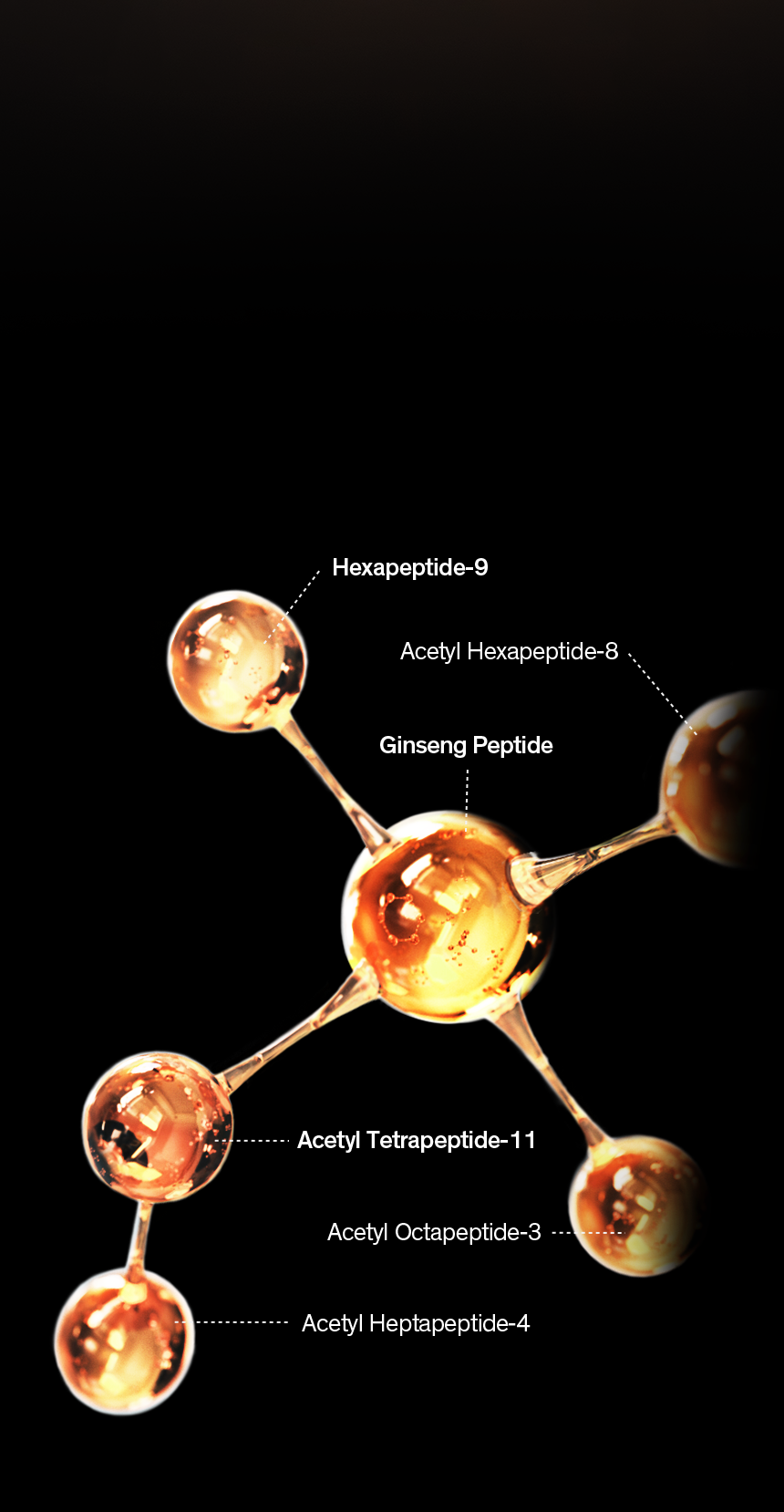 Sulwhasoo,International,<p><strong><sub>2</sub></strong></p><p><sub><sup>POWERFUL SYNERGIES WITH GINSENOMICS™</sup></sub></p><p><span style="color: rgb(255, 87, 0)"><strong>GINSENG PEPTIDE<sup>™</sup></strong></span></p>