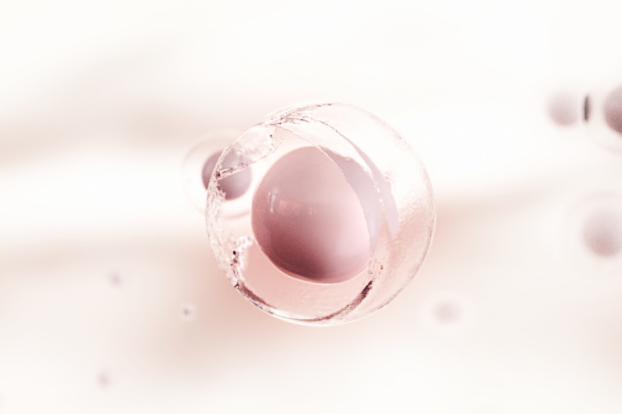 AP BEAUTY,International,<p>Title text, Lorem Ipsum is simply dummy text</p>