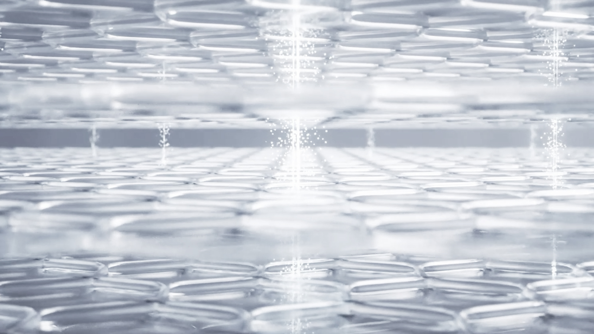 AP BEAUTY,International,Title text, Lorem Ipsum is simply dummy text