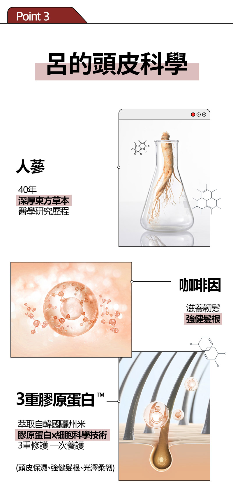 RYO,Taiwan,<p></p>,Point 3, 呂的頭皮科學,  人蔘,  40年, 深厚東方草本, 醫學研究歷程,   咖啡因,  滋養韌髮, 強健髮根,   3重膠原蛋白TM,  萃取自韓國驪州米, 膠原蛋白x細胞科學技術, 3重修護 一次養護,  (頭皮保濕、強健髮根、光澤柔韌),