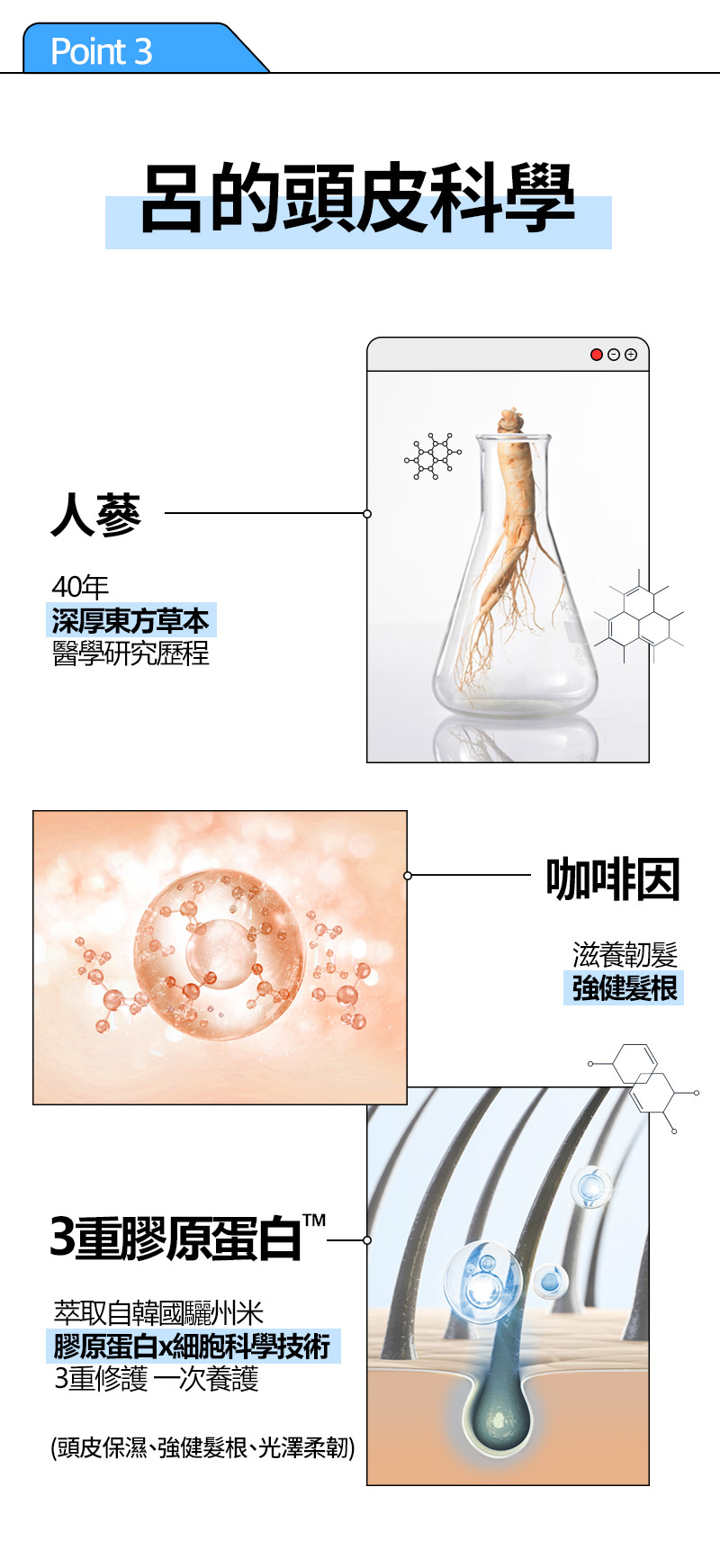 RYO,Taiwan,<p></p>,Point 3, 呂的頭皮科學,   人蔘, 40年 深厚東方草本 醫學研究歷程,   咖啡因, 滋養韌髮 強健髮根,   3重膠原蛋白TM, 萃取自韓國驪州米 膠原蛋白x細胞科學技術 3重修護 一次養護, (頭皮保濕、強健髮根、光澤柔韌)