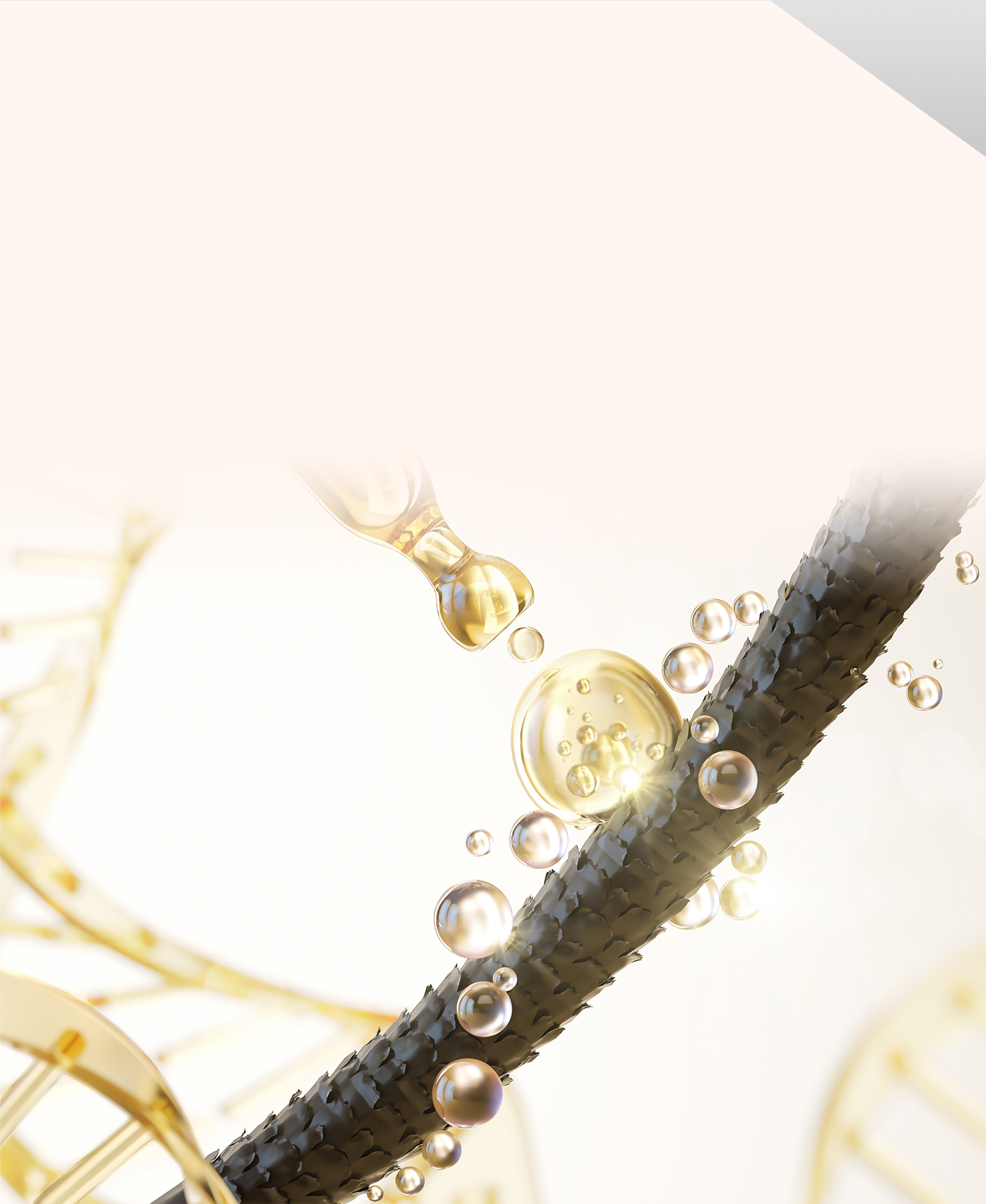 Mise-en-Scene,Hong Kong,針對脆弱易斷髮絲,針對脆弱易斷髮絲 有效提升強韌及彈性