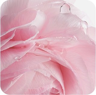 LANEIGE,Hong Kong,<p><span style="color: rgb(234, 75, 109)"><strong><sub>怡人香氣帶來愉悅心情</sub></strong></span></p>