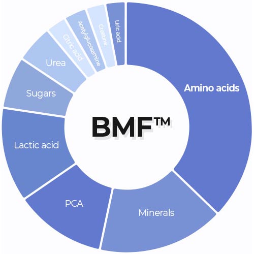 BFM™ - Amino Acids, Minerals, PCA, Lactic acid, Sugars, Urea, citric acid, acetylglucosamine, Creatine, Uric acid
