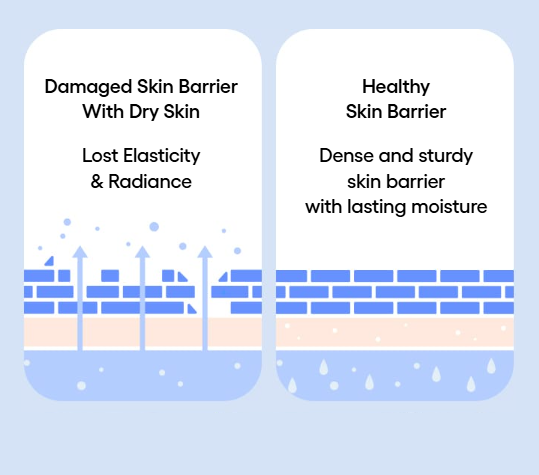 LANEIGE,International,<p>Title text, Lorem Ipsum is simply dummy text</p>