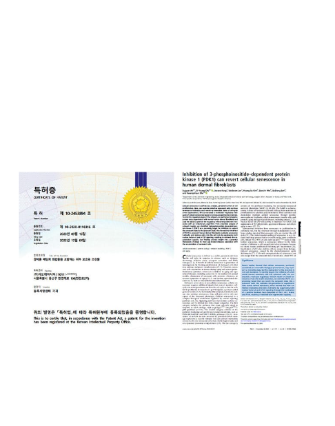 LANEIGE,Singapore,<p><span style="color: rgb(0, 0, 0)"><sub>AMOREPACIFIC'S PATENTED<sup>*</sup></sub></span></p><p><span style="color: rgb(150, 117, 79)">RE.D FLAVONOID<sup>™</sup></span></p>