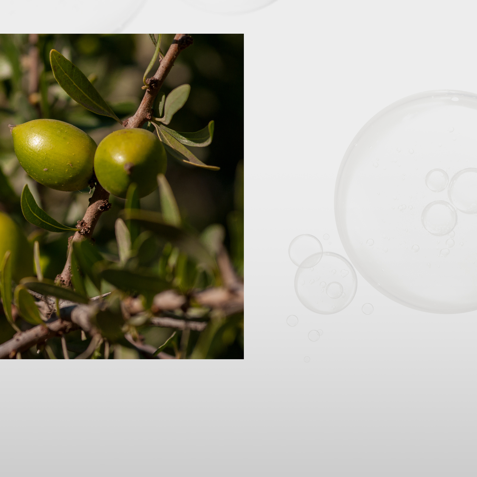 Mise-en-Scene,Hong Kong, 摩洛哥堅果油 荷荷芭油 椰子油 杏桃核仁油 橄欖油 山茶花籽油 馬魯拉果油,7X Golden Oil™