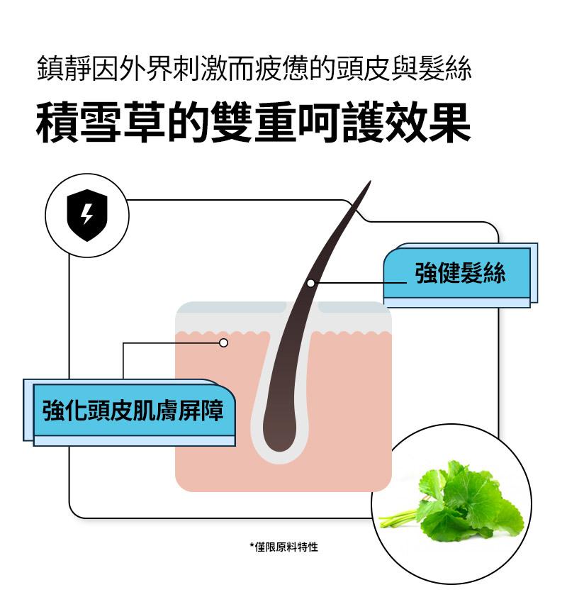 RYO,Taiwan,<p></p>, 鎮靜因外界刺激而疲憊的頭皮與髮絲, 積雪草的雙重呵護效果,   強健髮絲, 強化頭皮肌膚屏障, *僅限原料特性