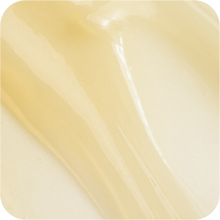 LANEIGE,International