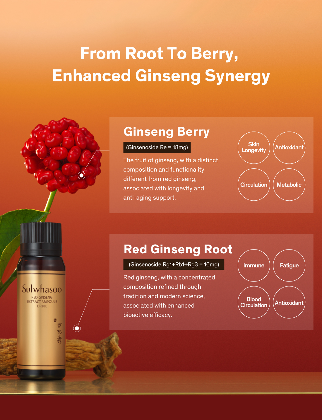 Red Ginseng Extract Ampoule Drink 20g x 30