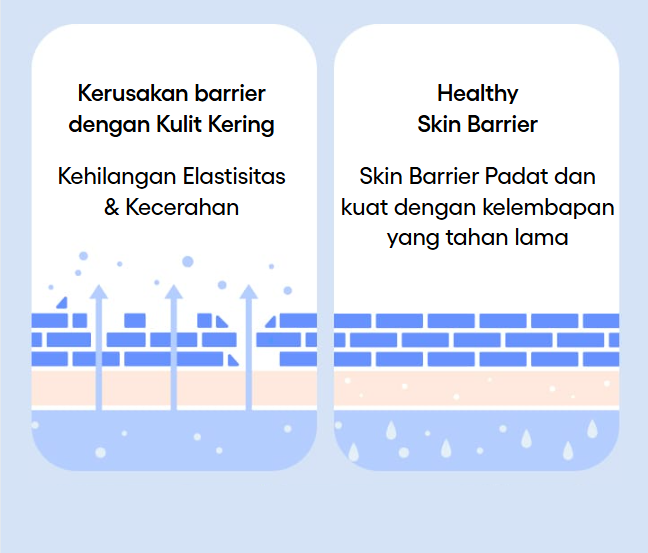 LANEIGE,Indonesia,<p>Title text, Lorem Ipsum is simply dummy text</p>