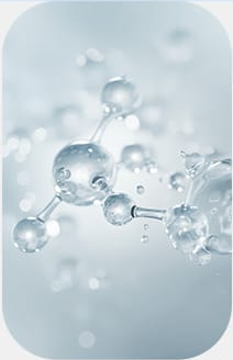 LANEIGE,International