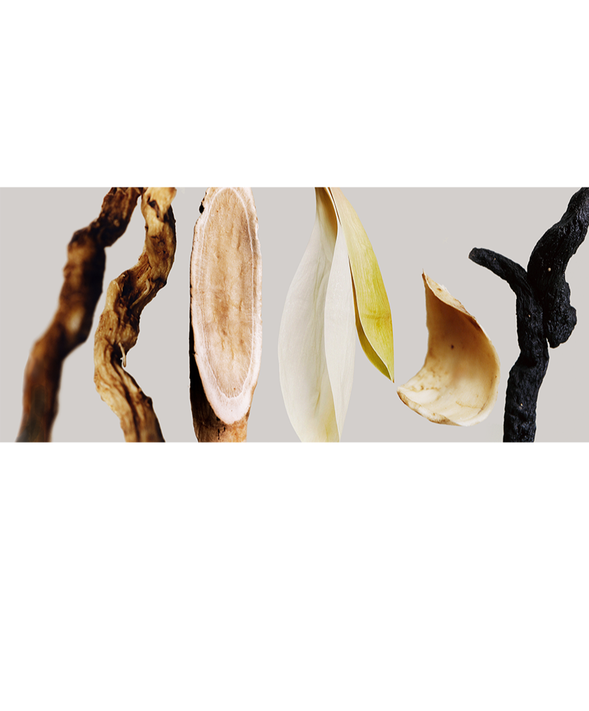 Sulwhasoo,Thailand,<p></p>