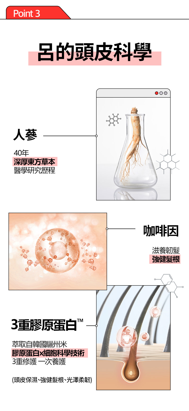 RYO,Taiwan,<p>Title text, Lorem Ipsum is simply dummy text</p>,Point 3, 呂的頭皮科學,  人蔘, 40年 深厚東方草本 醫學研究歷程,  咖啡因, 滋養韌髮 強健髮根,  3重膠原蛋白TM, 萃取自韓國驪州米 膠原蛋白x細胞科學技術 3重修護 一次養護, (頭皮保濕、強健髮根、光澤柔韌)