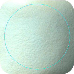 LANEIGE,International