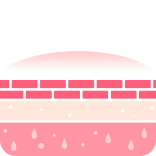 LANEIGE,International