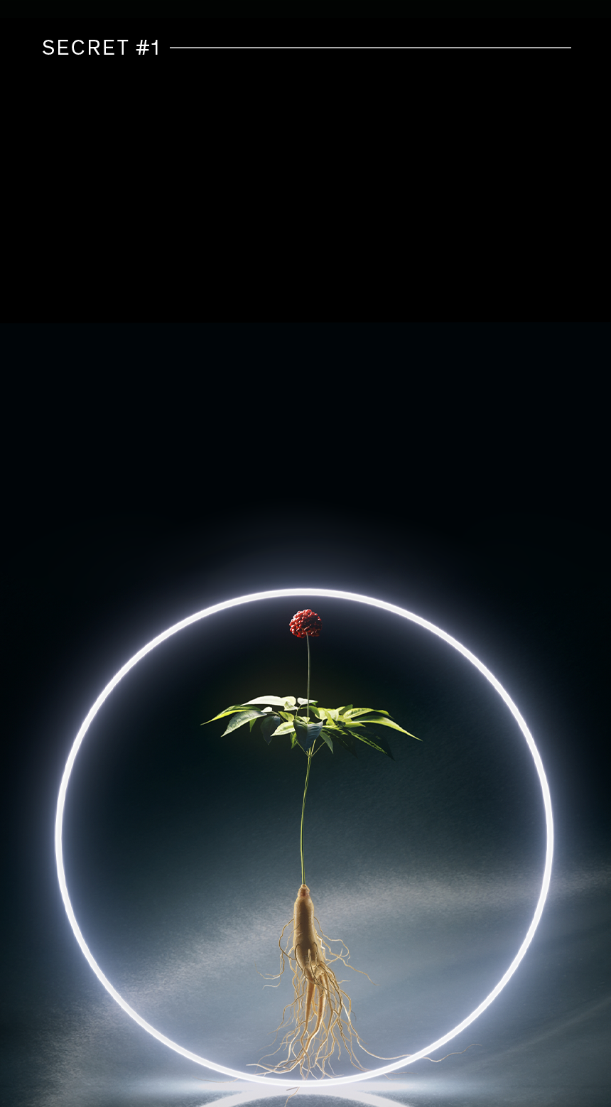 Sulwhasoo,International,<p></p><p><strong><sub>THE MYSTERIOUS</sub></strong></p><p><strong><sup>GINSENG BERRY</sup></strong></p><p><strong><sub><sup>1 day comes after every 1,000 days</sup></sub></strong></p>