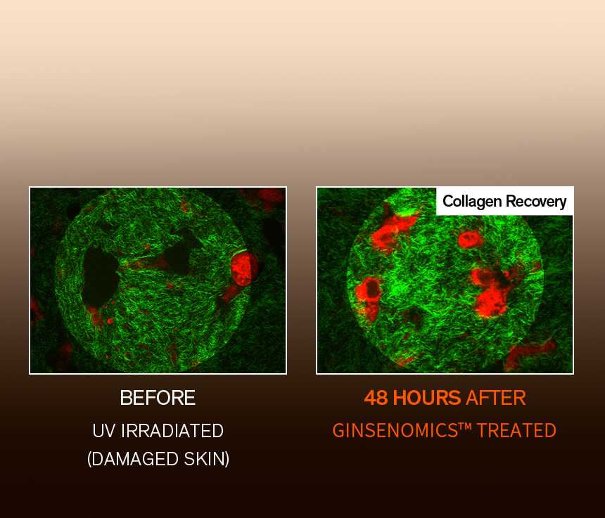 Sulwhasoo,International,<p><span style="color: #000000"><strong><sub>INTENSIVE COLLAGEN</sub></strong></span></p><p><span style="color: #000000"><strong><sup>REPLENISHMENT IN 48 HOURS</sup></strong></span></p>