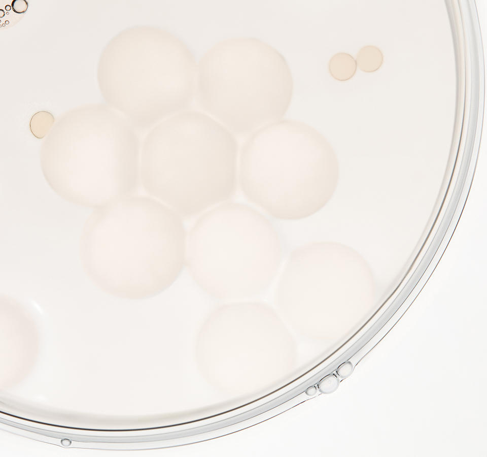 AP BEAUTY,International,Title text, Lorem Ipsum is simply dummy text
