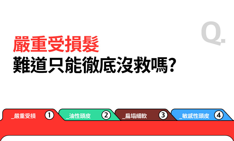 RYO,Taiwan,<p></p>,嚴重受損髮, 難道只能徹底沒救嗎?,   _嚴重受損 1, _油性頭皮 2, _扁塌細軟 3, _敏感性頭皮 4