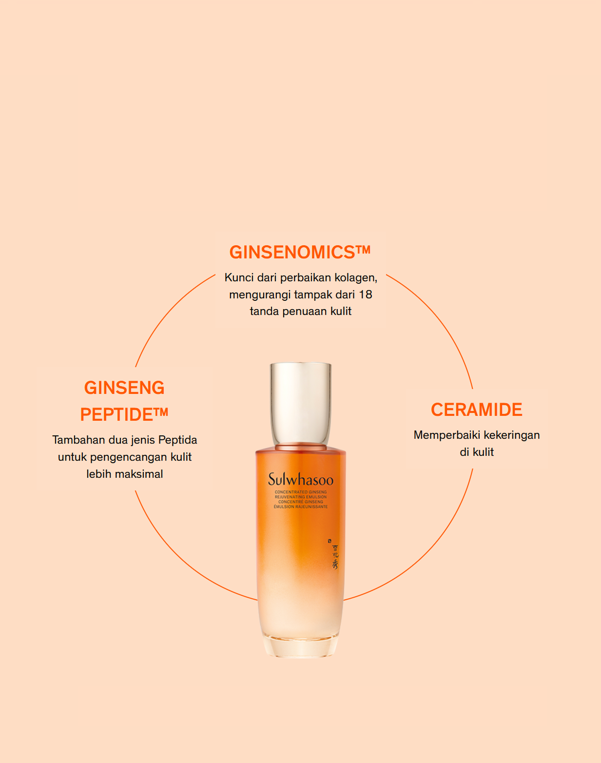 Sulwhasoo,Indonesia,<p></p>