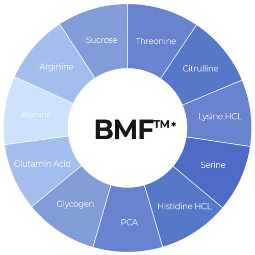 BFM™ - Sucrose, Thereonine, Citrulline, Lysine HCL, Serine, Histidine HCL, PLCA, Glycogen, Glutamin Acid, Alanine, Arginine