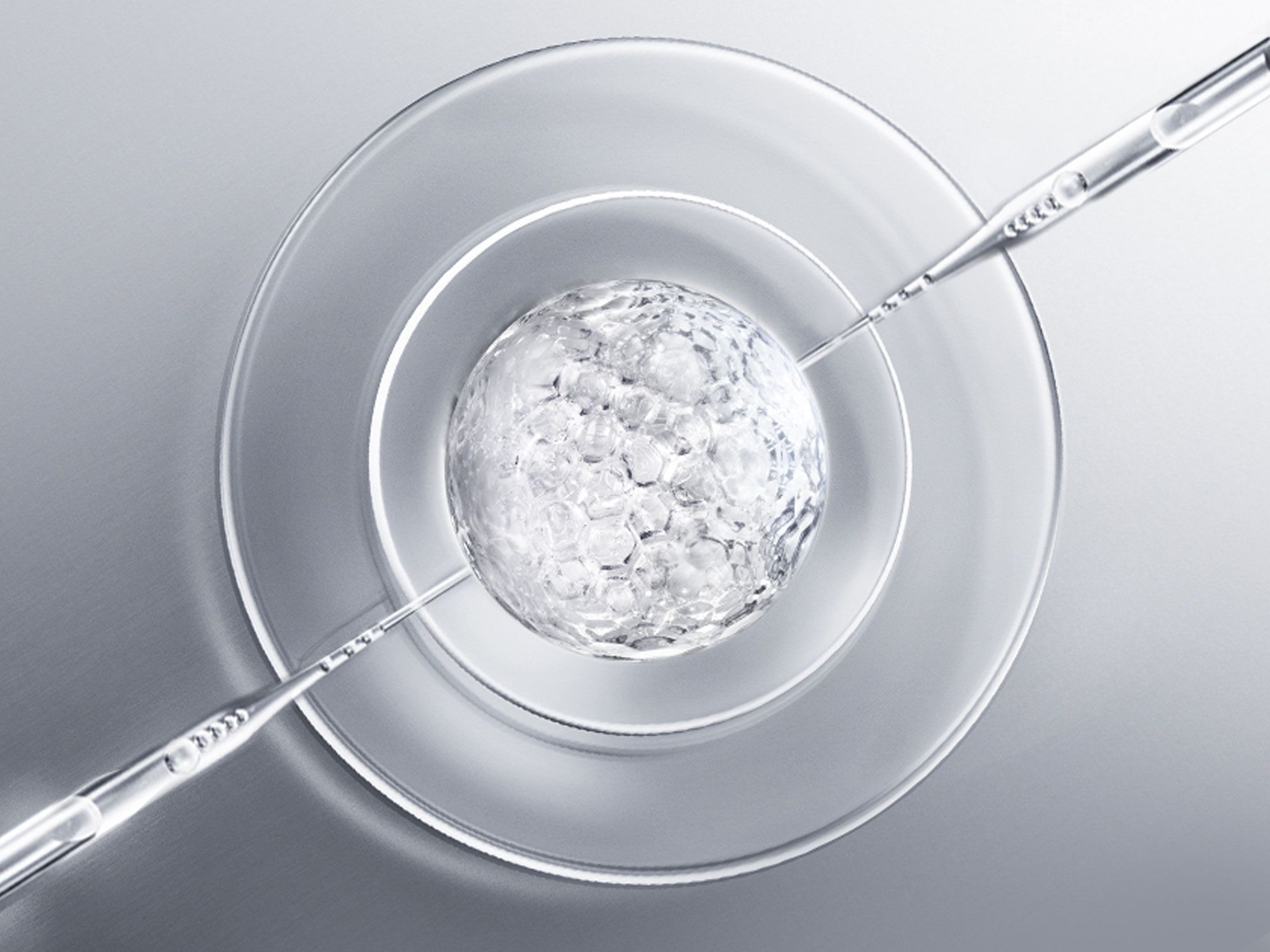 CNX TEST HKAP,PDRN1-Powered ESSENCE™ 84%

蘊含84%高濃度PDRN精華，強效重建肌膚屏障