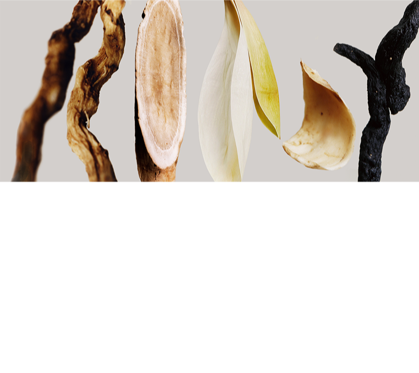 sulwhasoo pore impurities mask