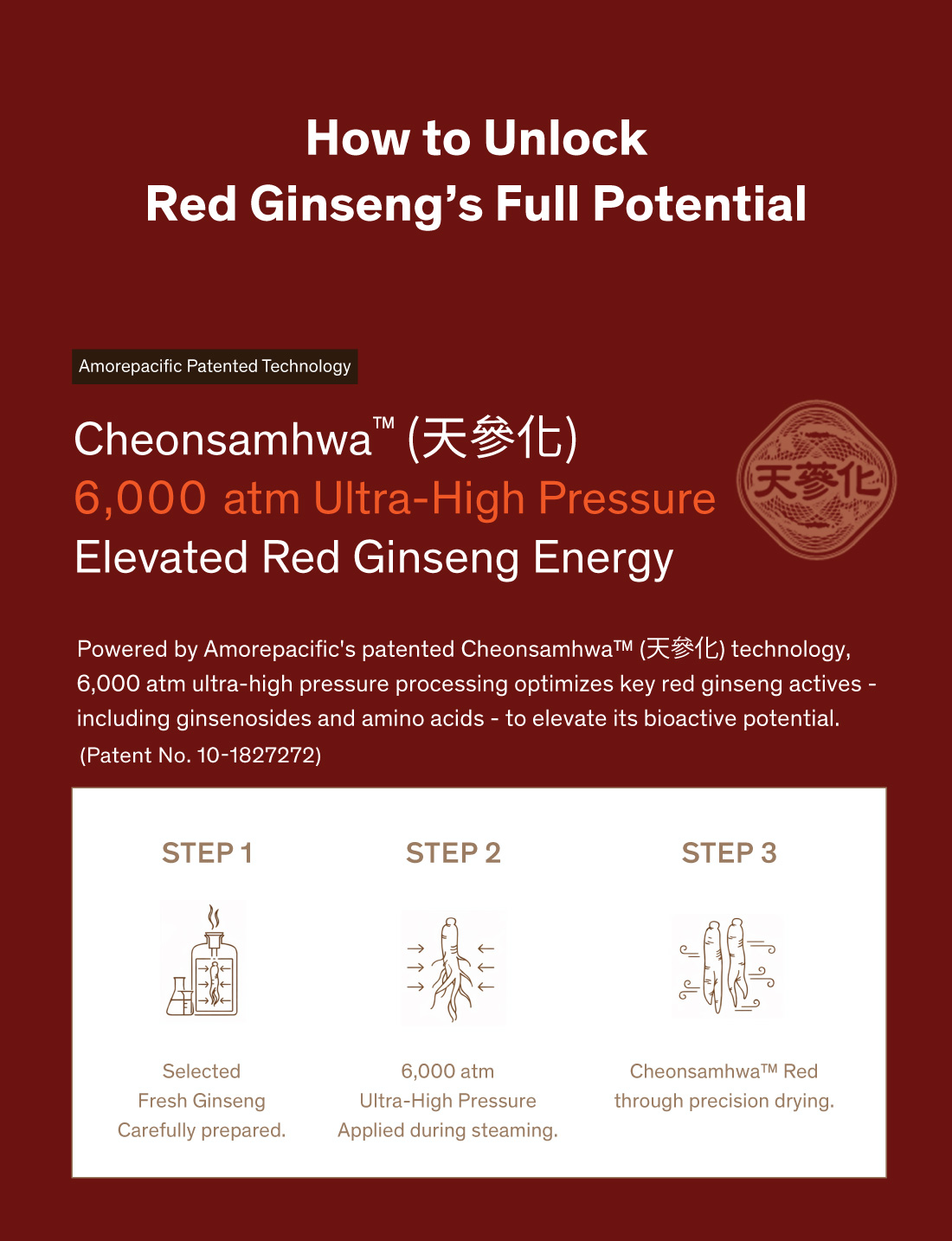 Red Ginseng Extract Ampoule Drink 20g x 30