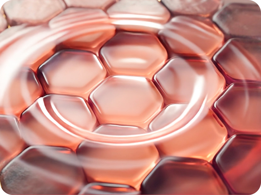 LANEIGE,International,<p></p>