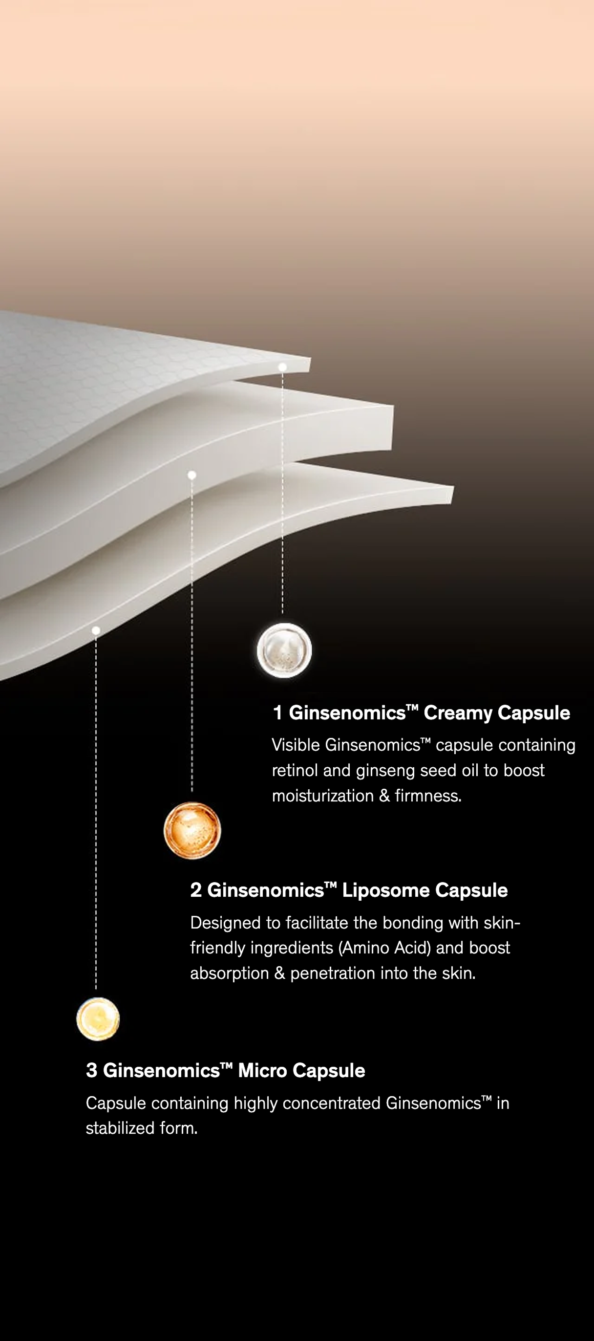Sulwhasoo,International,THREE TYPES OF CAPSULE FORMULAS ARE ABSORBED DEEP WITHIN THE SKIN